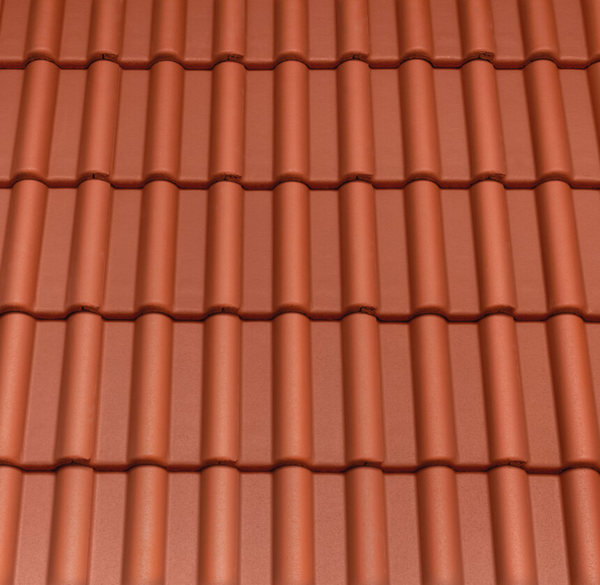 Klasická červená PLANAR – laying